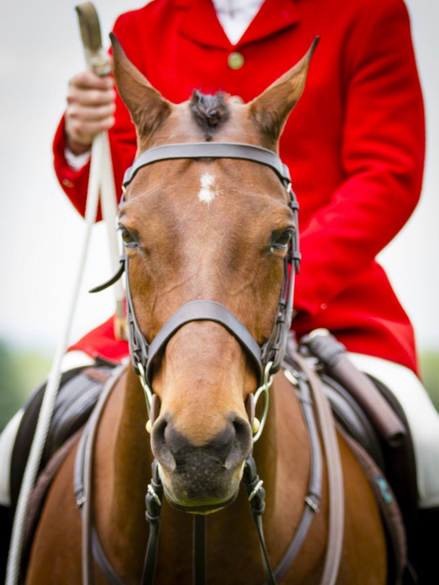 Middleburg Equestrian Events Visit Middleburg Virginia