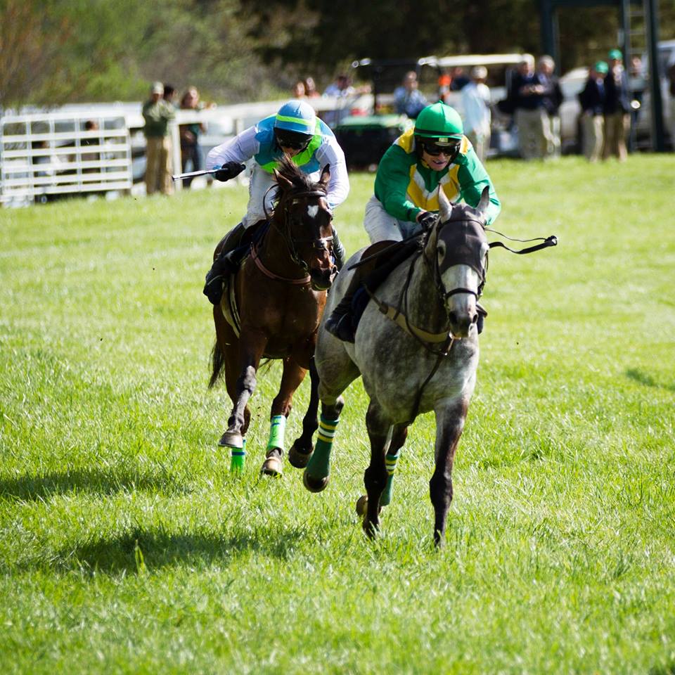 Steeplechase 101 Visit Middleburg Virginia