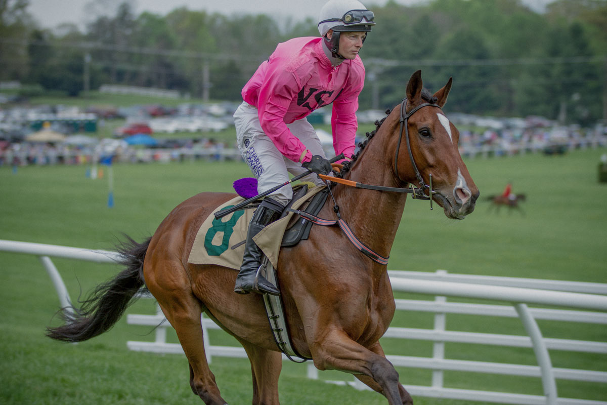Middleburg Spring Races at Glenwood Park Visit Middleburg Virginia