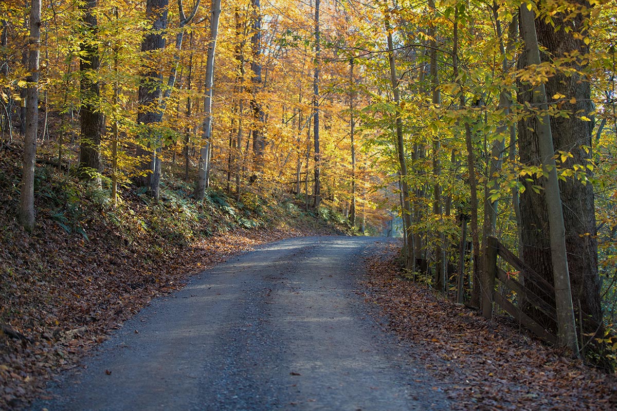 Visit Middleburg Virginia The Nation's Horse and Hunt Capital DC's