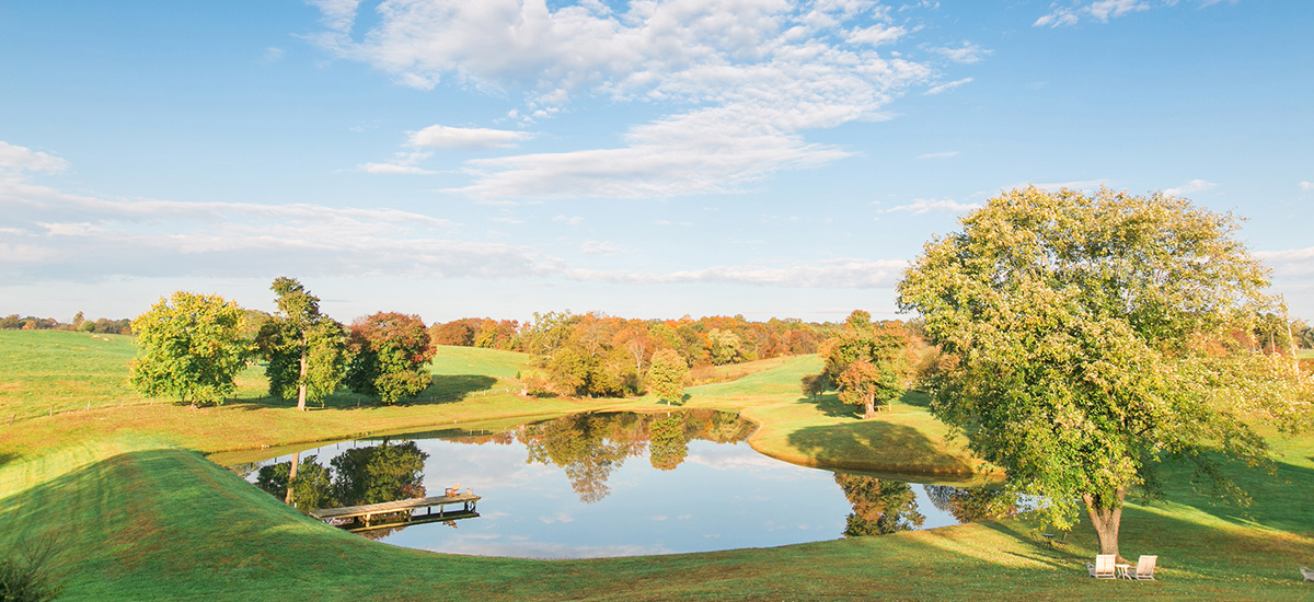 view of vineyards and pond