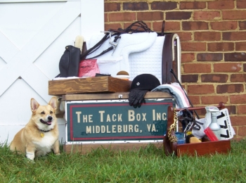 The Tack Box Inc.