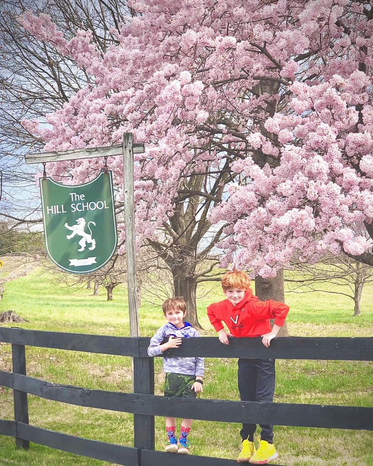 cherry tree in bloom on campus with kids on fence underneath near hill school sign