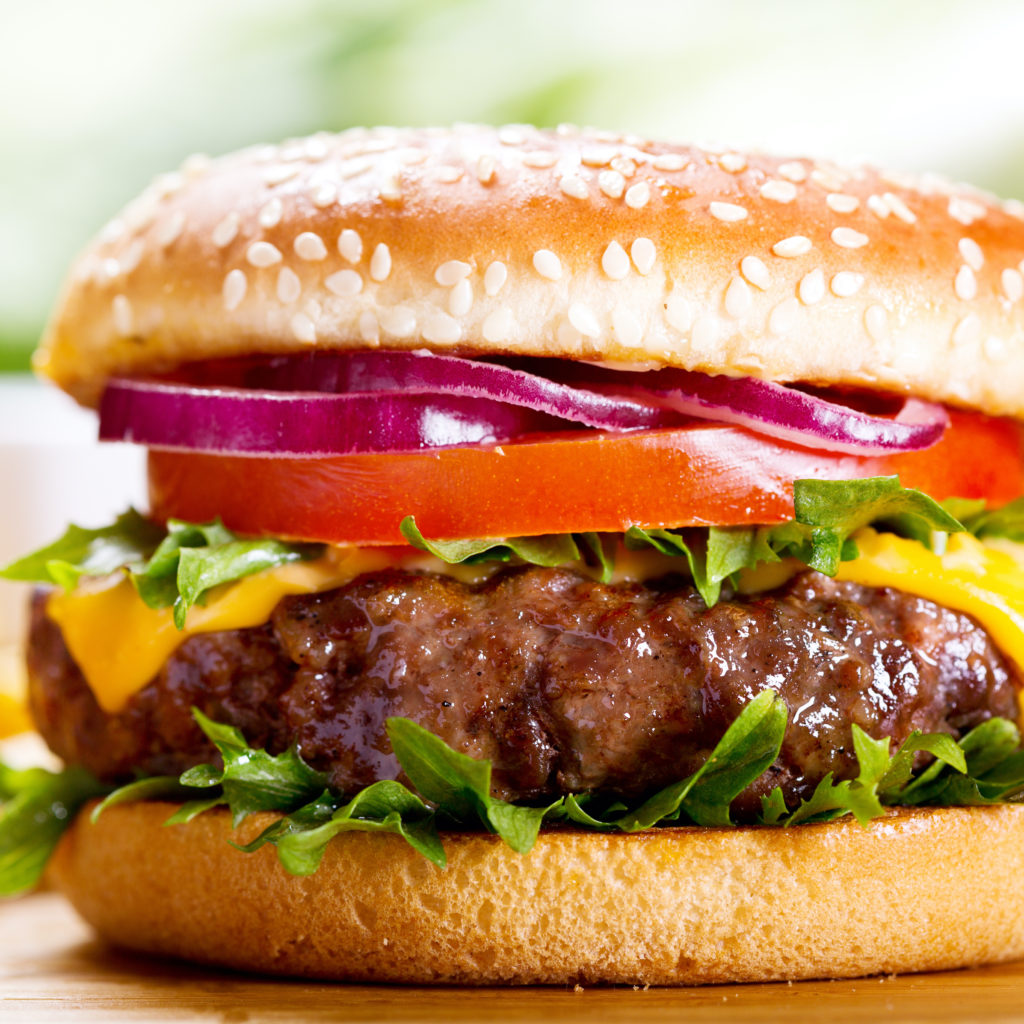 hamburger with fries