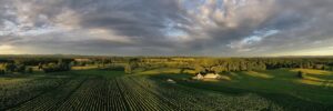 Boxwood Winery