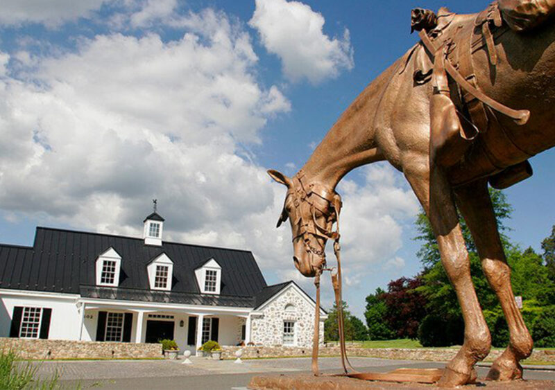 Home Visit Middleburg Virginia