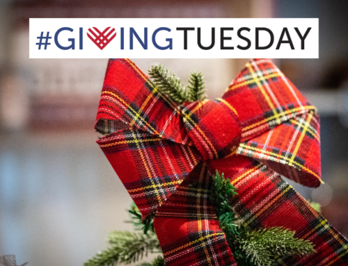 Give Locally on Giving Tuesday, November 29