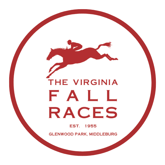 VFR LOGO WITH CIRCLE