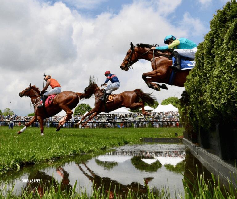 horses and jockeys jumping over water and brush