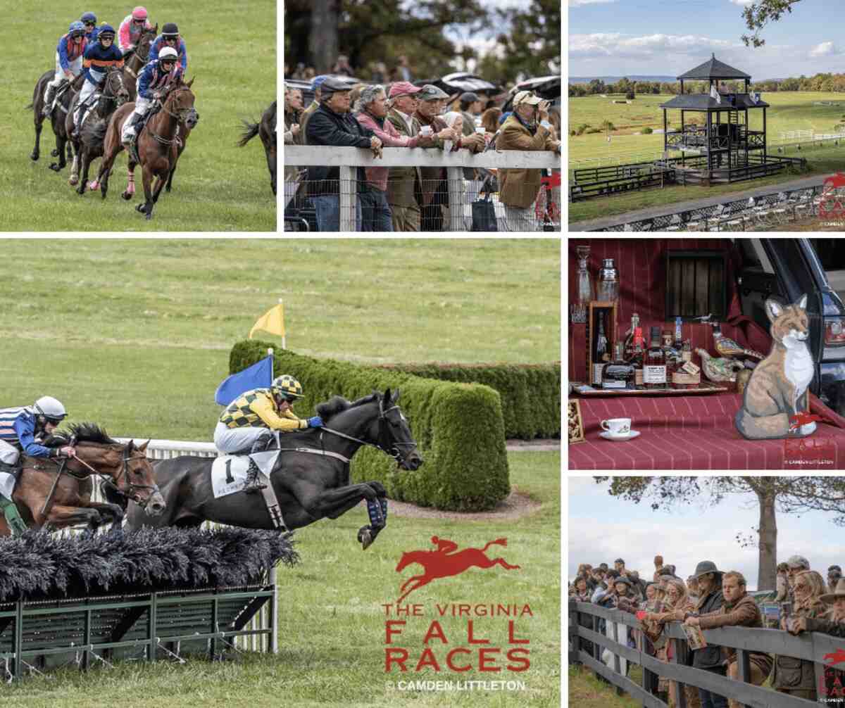 fall races collage, horses jumping and racing