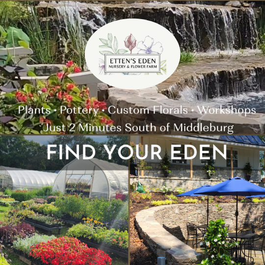 Etten’s Eden Updated