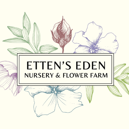 Etten’s Eden new logo