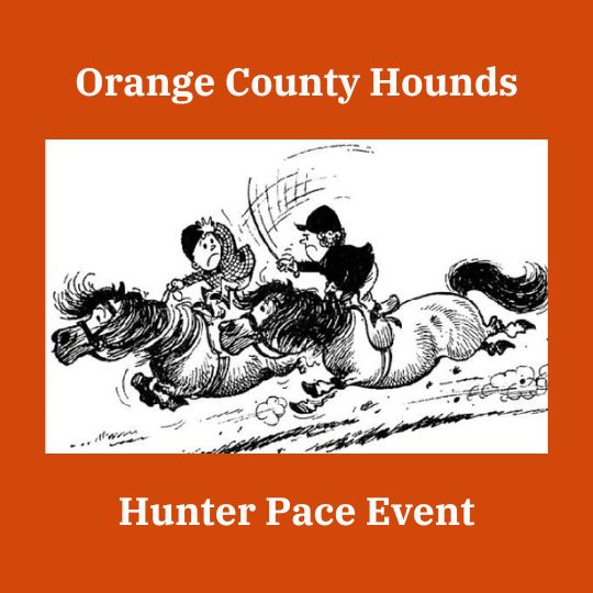 Orange County Hounds Hunter Pace Event Visit Middleburg Virginia