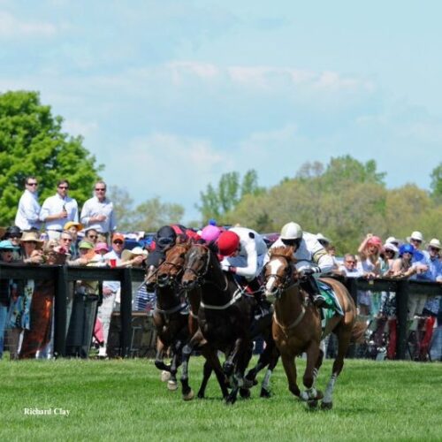 Virginia Gold Cup - Visit Middleburg Virginia