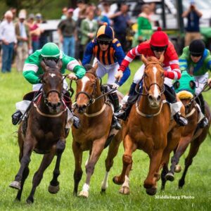 middleburg stable tour 2022