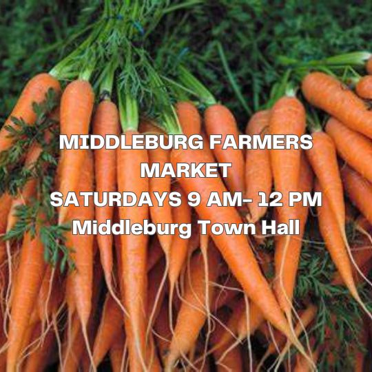 Middleburg Farmer's Market - Visit Middleburg Virginia