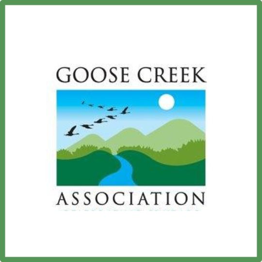 GOOSE CREEK LOGO