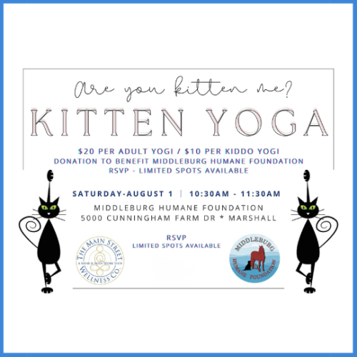 Kitten Yoga at the Middleburg Humane Foundation
