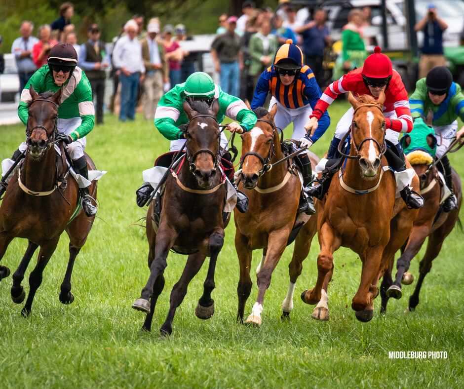 horses and jockeys racing in a steeplechase race