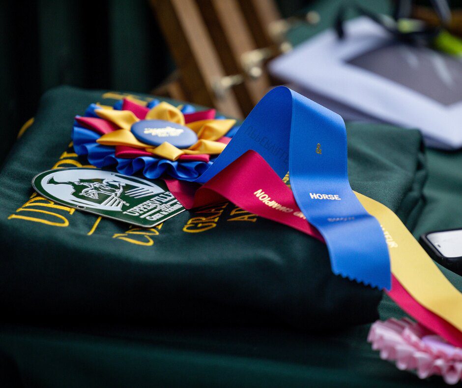 horse ribbons and a champion cooler